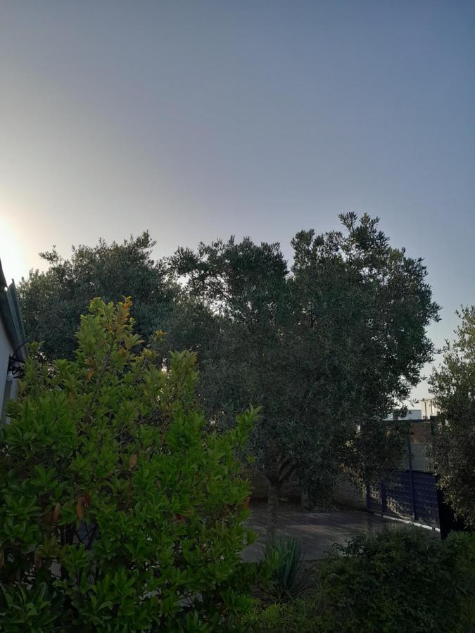 Garden Beach House Hamallaj Екстер'єр фото